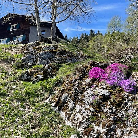 Alpenchalet Piz Huesli ทชากูนส์ ภายนอก รูปภาพ