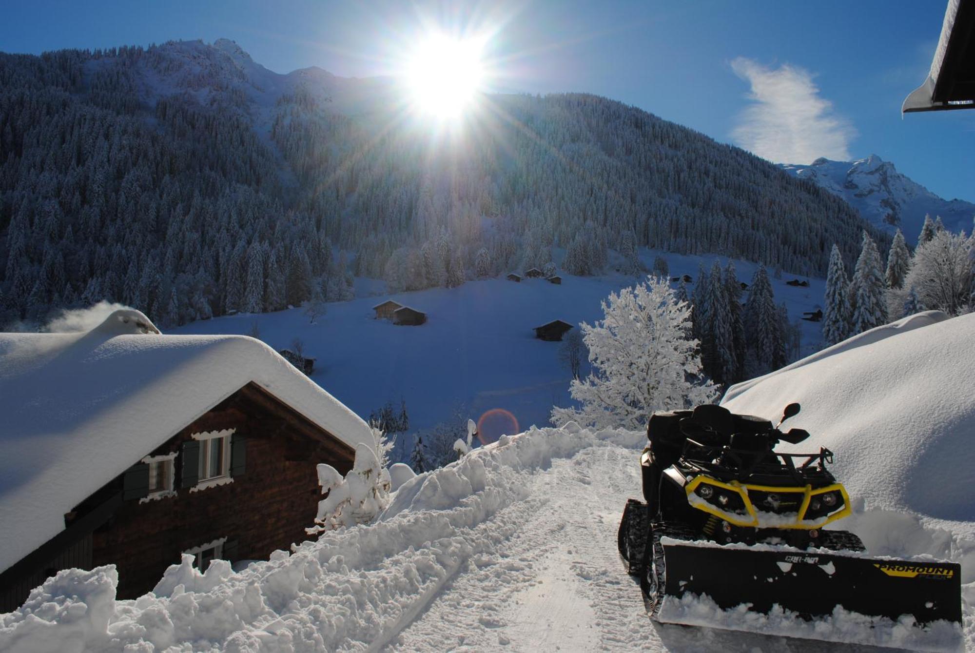 Alpenchalet Piz Huesli ทชากูนส์ ภายนอก รูปภาพ