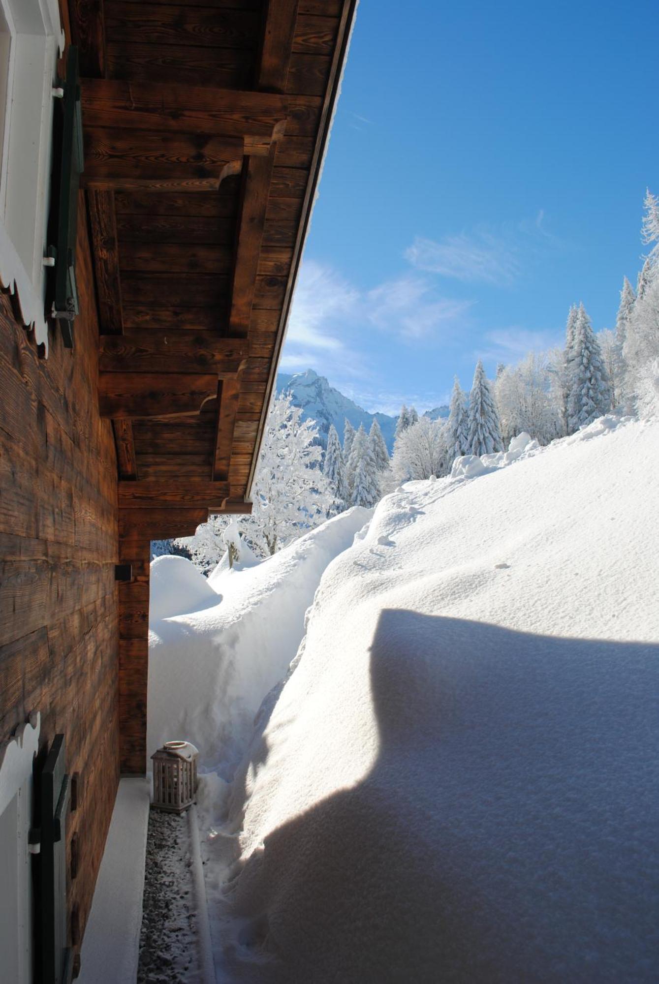 Alpenchalet Piz Huesli ทชากูนส์ ภายนอก รูปภาพ