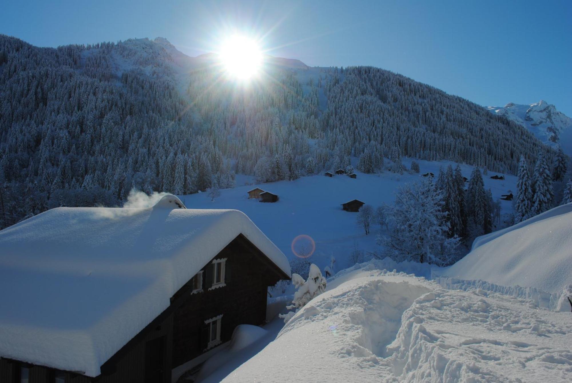 Alpenchalet Piz Huesli ทชากูนส์ ภายนอก รูปภาพ