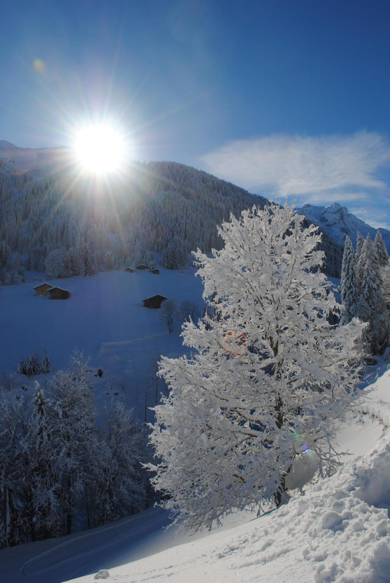 Alpenchalet Piz Huesli ทชากูนส์ ภายนอก รูปภาพ