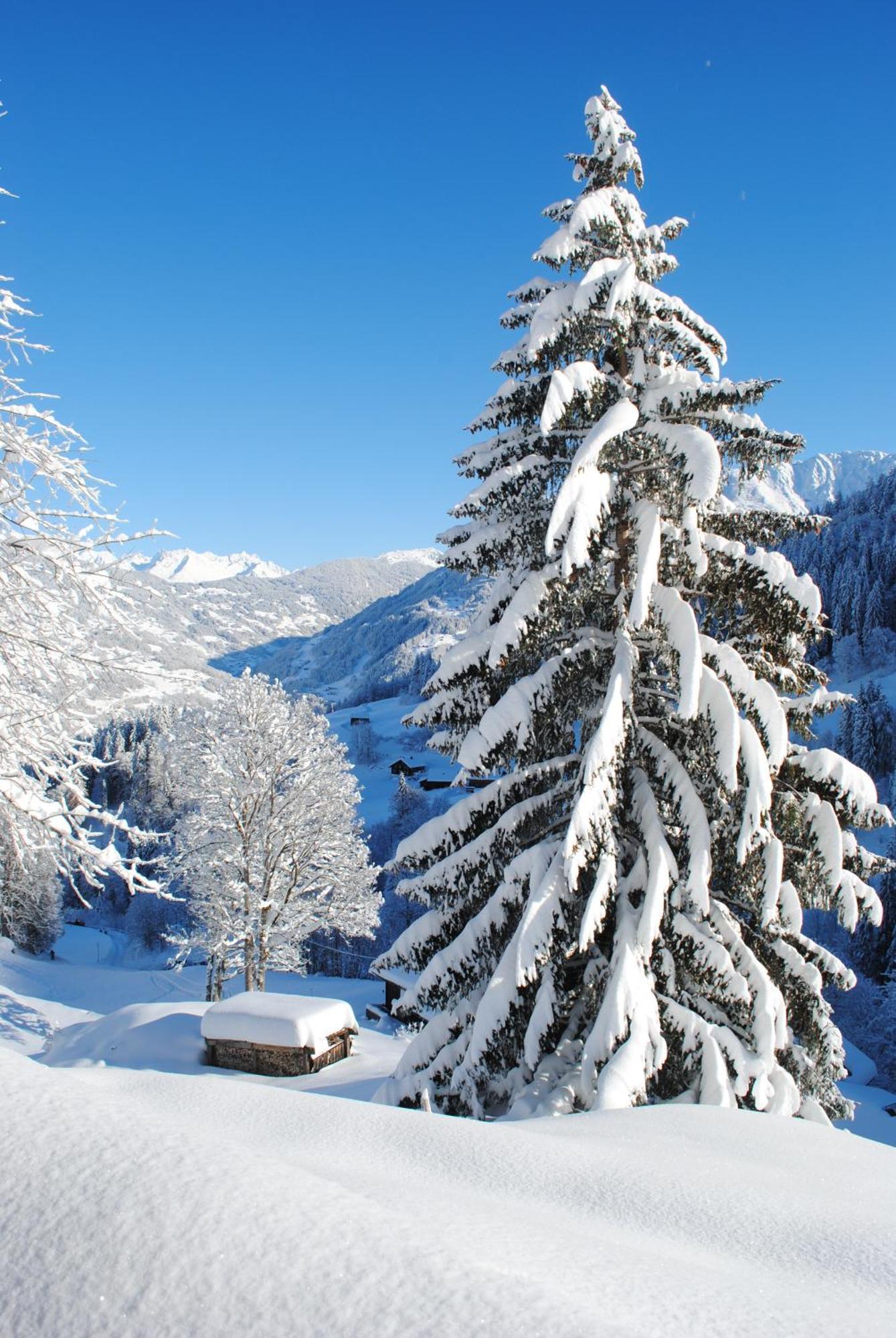 Alpenchalet Piz Huesli ทชากูนส์ ภายนอก รูปภาพ