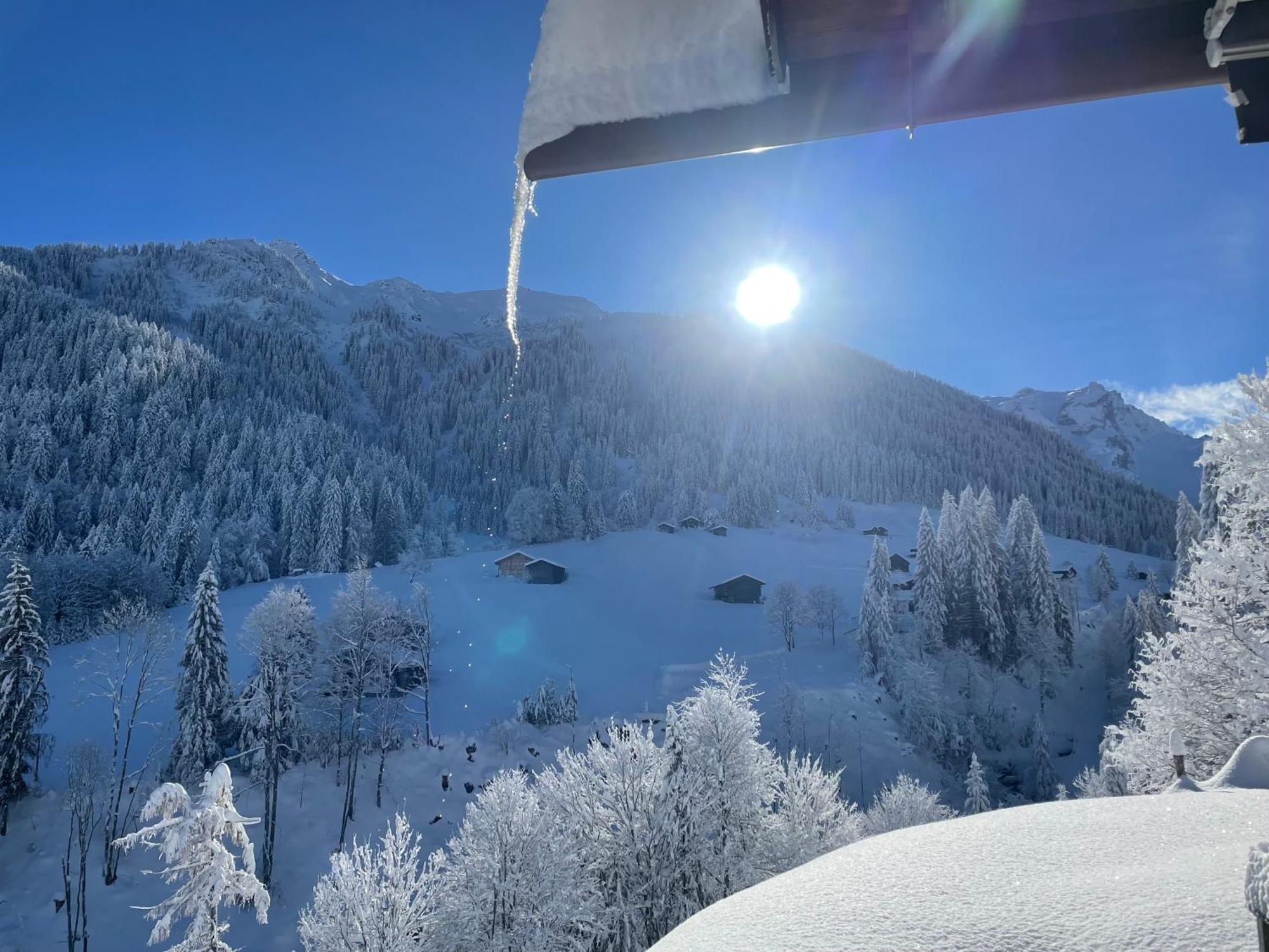 Alpenchalet Piz Huesli ทชากูนส์ ภายนอก รูปภาพ