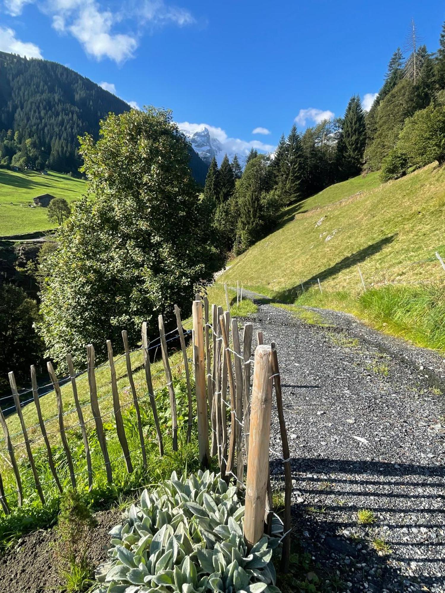 Alpenchalet Piz Huesli ทชากูนส์ ภายนอก รูปภาพ