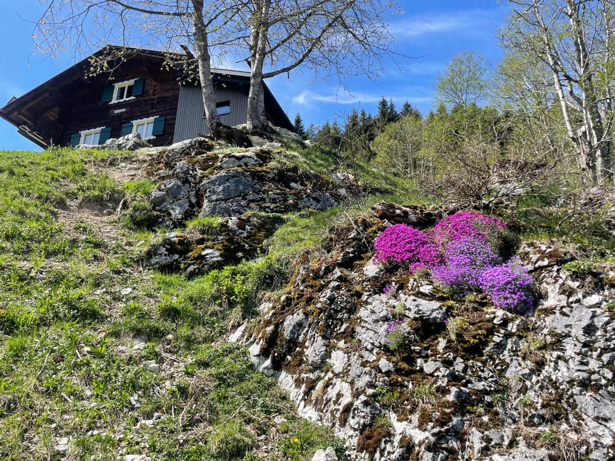 Alpenchalet Piz Huesli ทชากูนส์ ภายนอก รูปภาพ